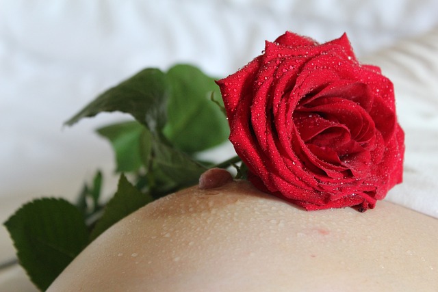 ženské ňadro s růží
